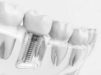 best dentist